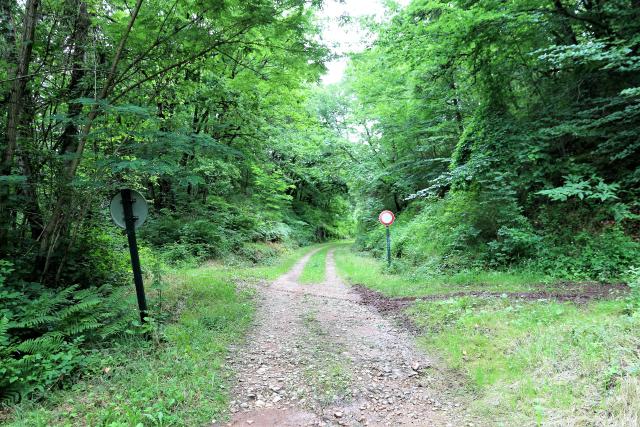 Aveyron - Espalion - passage à niveau