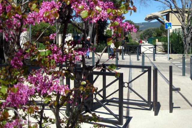 Bouches du Rhône - La Ciotat - passage à niveau