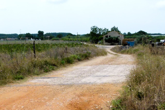 Gard - Le Cailar - passage à niveau