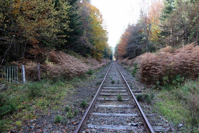 Haute Loire - La Chapelle Geneste - passage à niveau