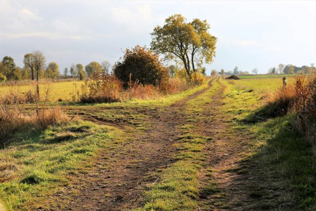 Haute Loire - Landos - passage à niveau