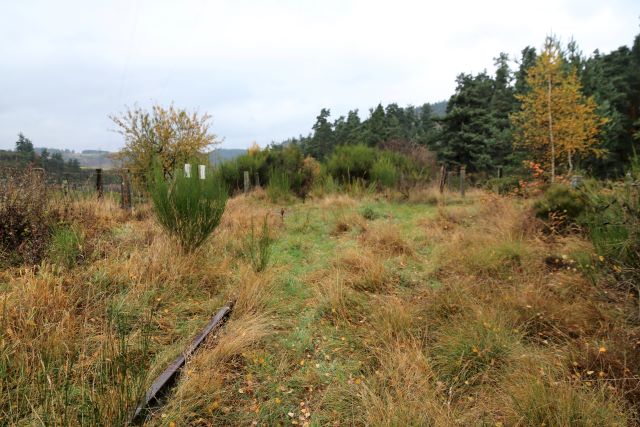 Lozère - Langogne - passage à niveau