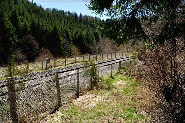Puy de Dôme - Briffons - passage à niveau