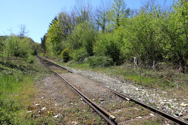 Puy de Dôme - Courpière - passage à niveau