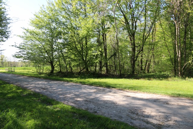 Puy de Dôme - Dorat - passage à niveau