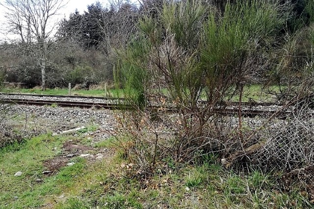 Puy de Dôme - Sayat - passage à niveau