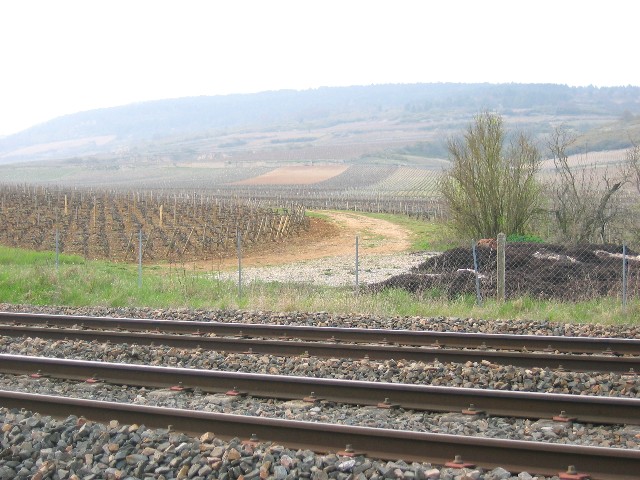 Côte d'Or - Santenay - passage à niveau