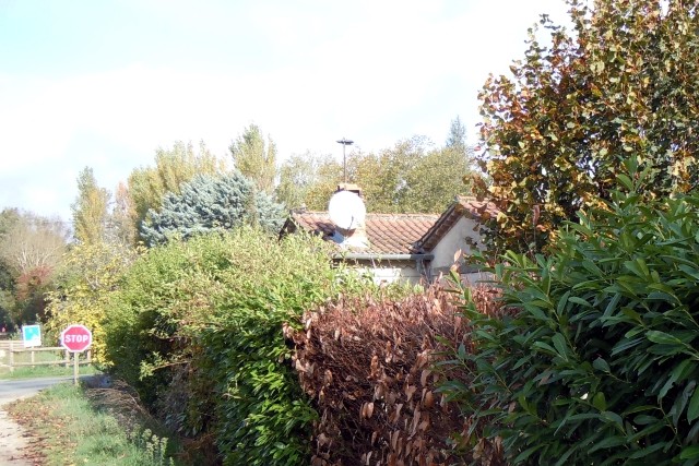 Tarn - Jonquières - passage à niveau