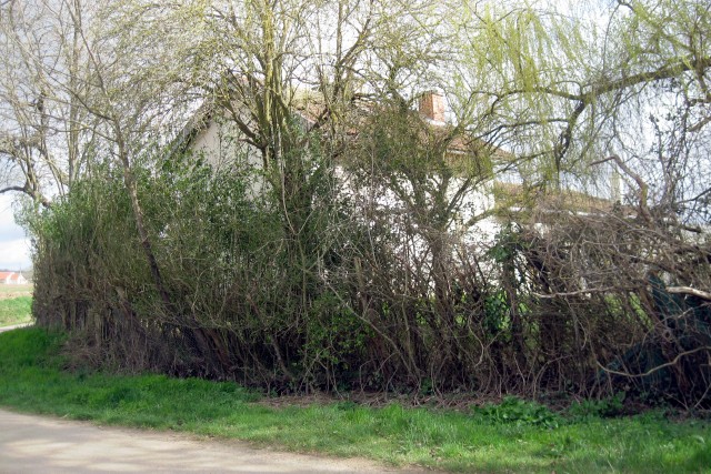 Yonne - Escamps - passage à niveau