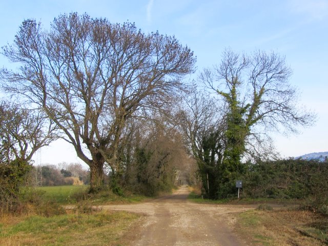 Bouches du Rhône - Lamanon - passage à niveau